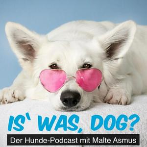 Höre Is' was, dog? in der App.