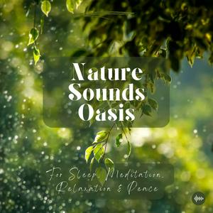 Höre Nature Sounds Oasis | Relaxing Nature Sounds For Sleep, Meditation, Relaxation Or Focus | Sounds Of Nature | Sleep Sounds, Sleep Music, Meditation Sounds, Ocean Waves, Rain, White Noise & More in der App.