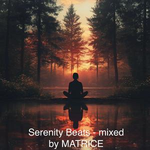 Höre Serenity Beats - by Matrice in der App.