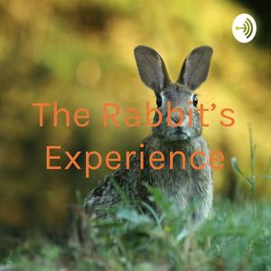 Höre The Rabbit's Experience in der App.